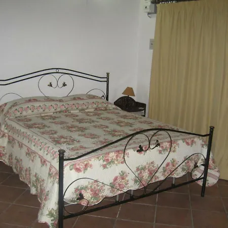 Palma Avola